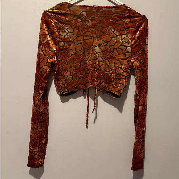 Velvet Drawstring Cropped Long Sleeve Top - Copper Brown - Picture 3 of 9